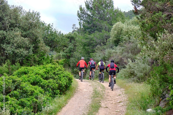 Fototapeta Group of mountain bikers on cycling trail in summer. Mountain biking in the scenic autumn forest. Four men on the uphill route.