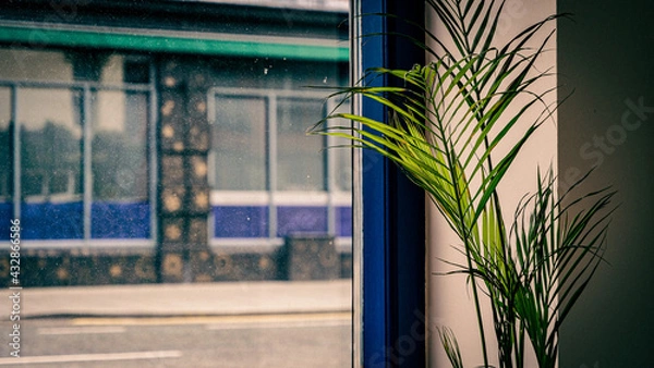 Fototapeta View outside a window from a restaurant.