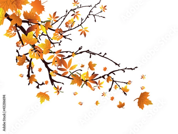 Fototapeta Herbstzeit