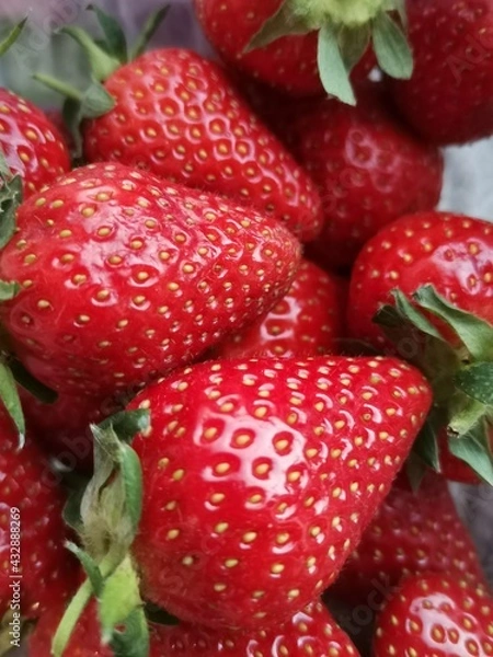 Obraz strawberries on a white background