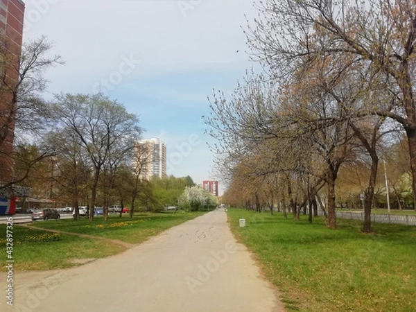 Fototapeta Green park on spring time. Photo with copy space. Road in the park in Ekaterinburg, Russia