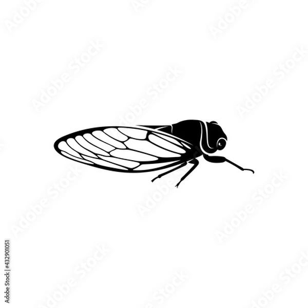 Obraz Cicada design vector illustration, Creative Cicada logo design concept template, symbols icons