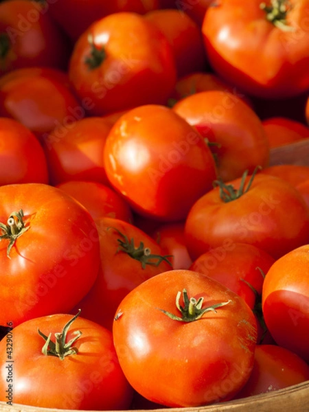 Obraz Fresh Vegetables