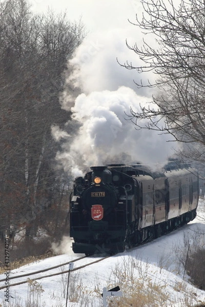 Obraz SL冬の湿原号（北海道）