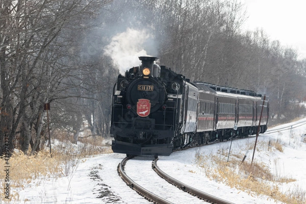 Obraz SL冬の湿原号（北海道）