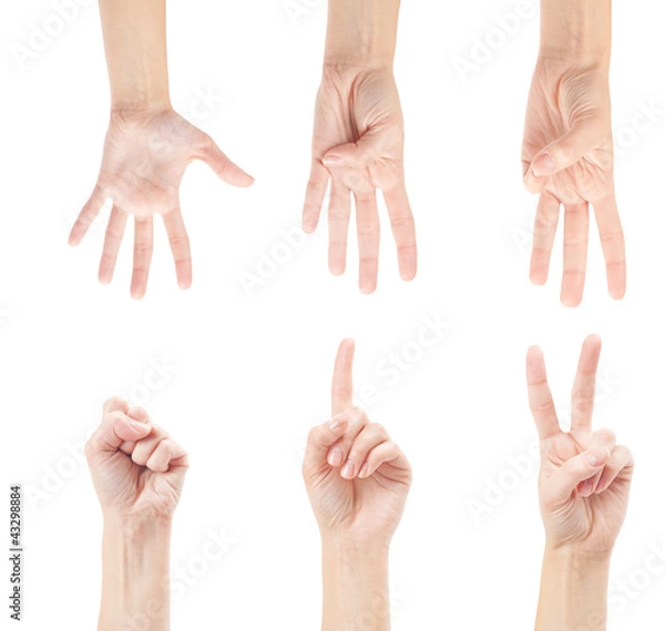 Obraz Counting woman hands (0 to 5) isolated on white background
