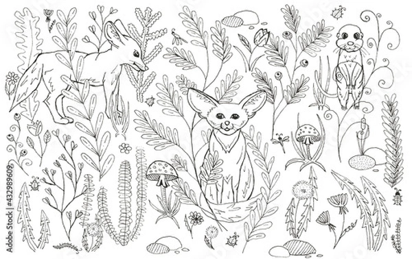 Fototapeta Animal illustrations. Wallpaper and background with animals and plants.