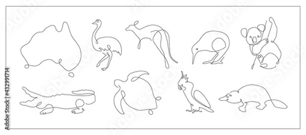 Fototapeta one line set of Australian animals. Koala and cockatoo outline. Kangaroo and kiwi continuous line. Ostrich lines design. Platypus line art