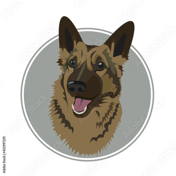 Fototapeta animal, art, brown, cartoon, character, design, dog, doggy, fur, graphic, happy, head, illustration, image, nature, pet, pets, puppy, shepherd, vector, wild