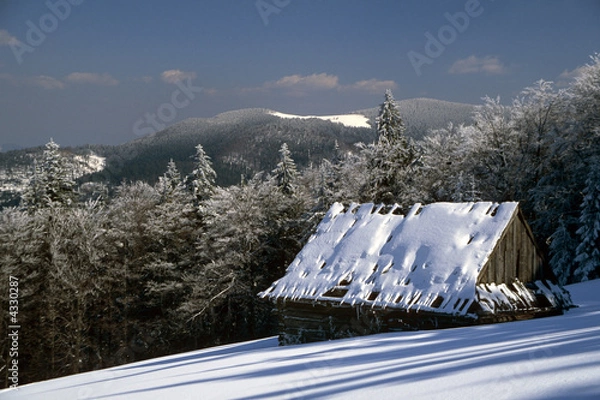 Fototapeta Shelter in the Gorce mountains