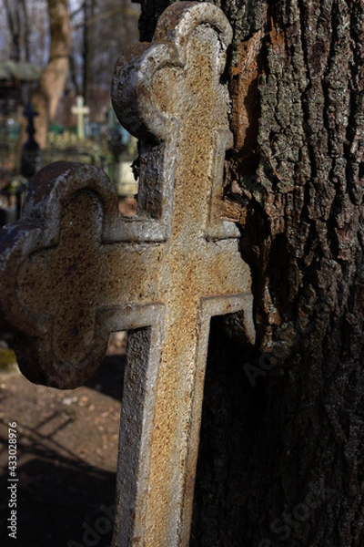 Fototapeta grave cross, embedded in a tree, against the background of a cemetery