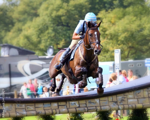 Fototapeta Jumping Fence1