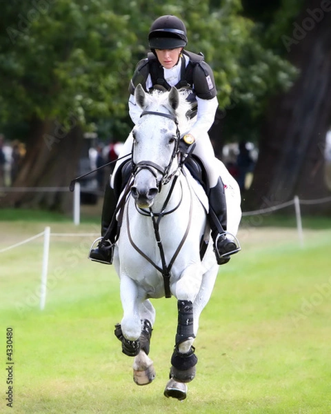 Fototapeta Horse Galloping