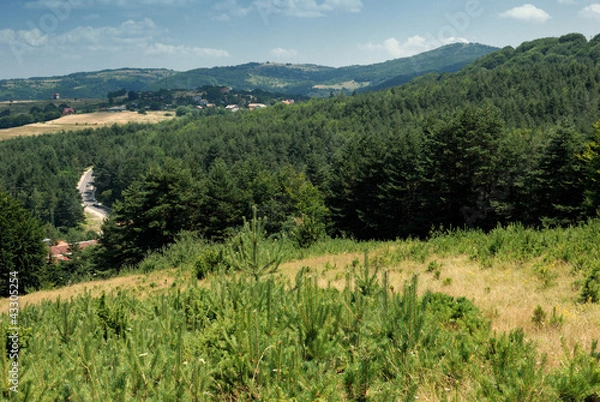 Obraz sunny mountain field