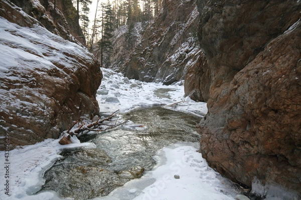 Obraz river in the mountains