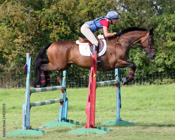 Fototapeta Jumping Hurdles