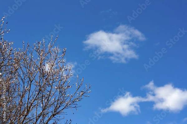 Fototapeta sky and clouds