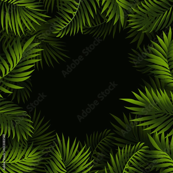 Obraz Palm green leaves frame
