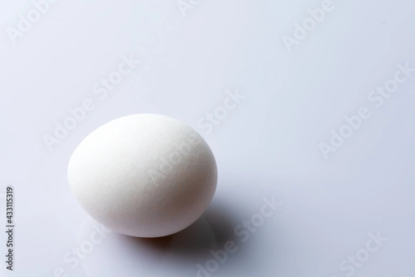 Fototapeta White egg on white background