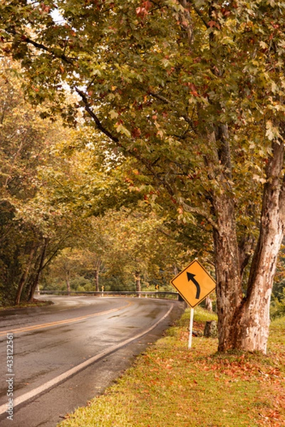 Obraz Caminho de Outono