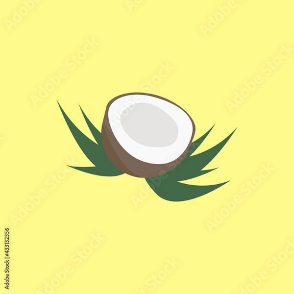 Fototapeta Vector graphics. An image of a ripe coconut. Coconut, chopped in half. Healthy diet. Tropical fruits. EPS isolated.