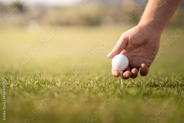 Fototapeta Golfer placing the ball on the tee on the grass of the golf course at sunset.