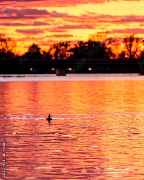 Obraz sunset on the lake