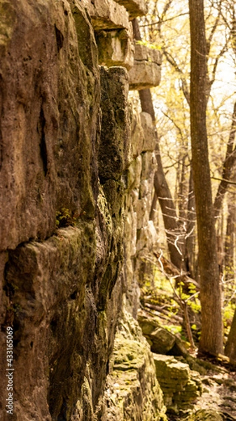 Obraz rock face in the forest