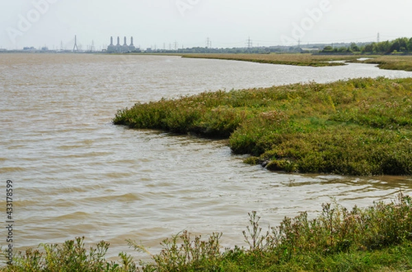 Obraz river in the field