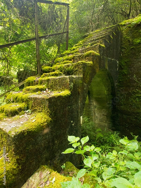 Obraz OLYMPUS DIGITAL CAMERA