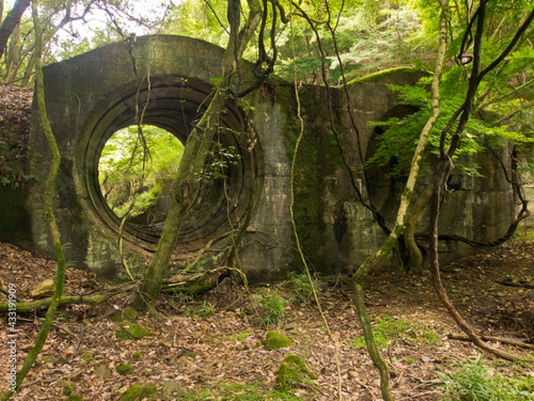 Obraz OLYMPUS DIGITAL CAMERA