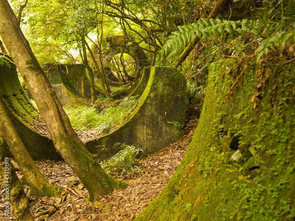 Obraz OLYMPUS DIGITAL CAMERA