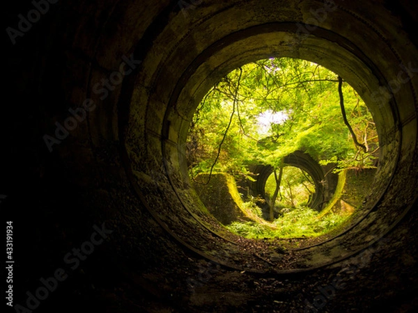 Obraz OLYMPUS DIGITAL CAMERA