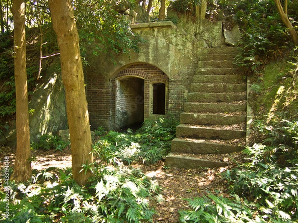 Obraz OLYMPUS DIGITAL CAMERA