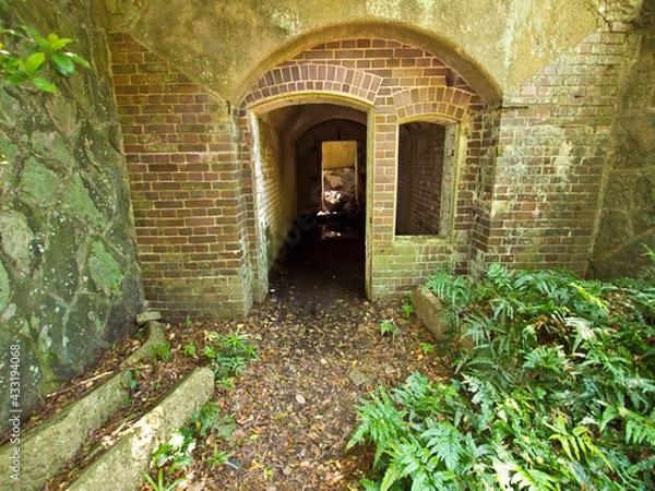 Obraz OLYMPUS DIGITAL CAMERA