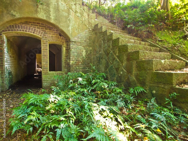 Obraz OLYMPUS DIGITAL CAMERA