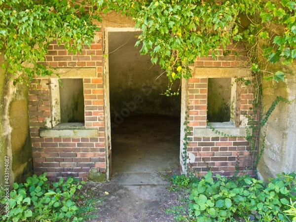 Obraz OLYMPUS DIGITAL CAMERA