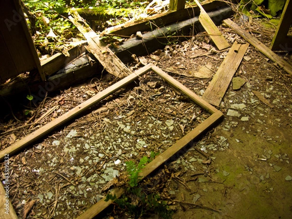 Obraz OLYMPUS DIGITAL CAMERA