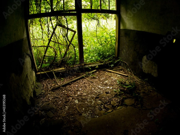 Obraz OLYMPUS DIGITAL CAMERA