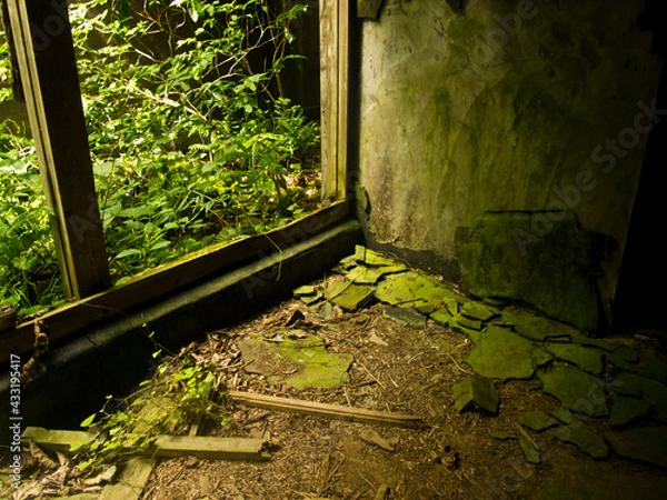 Obraz OLYMPUS DIGITAL CAMERA