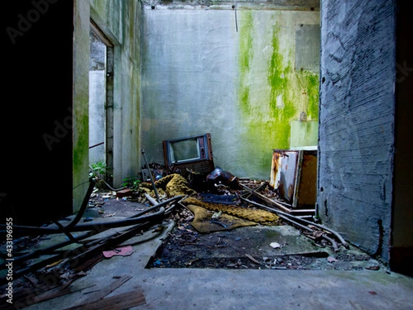 Obraz OLYMPUS DIGITAL CAMERA