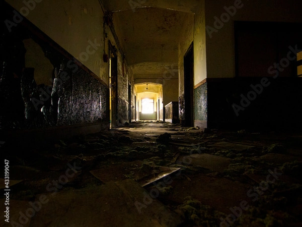 Obraz OLYMPUS DIGITAL CAMERA