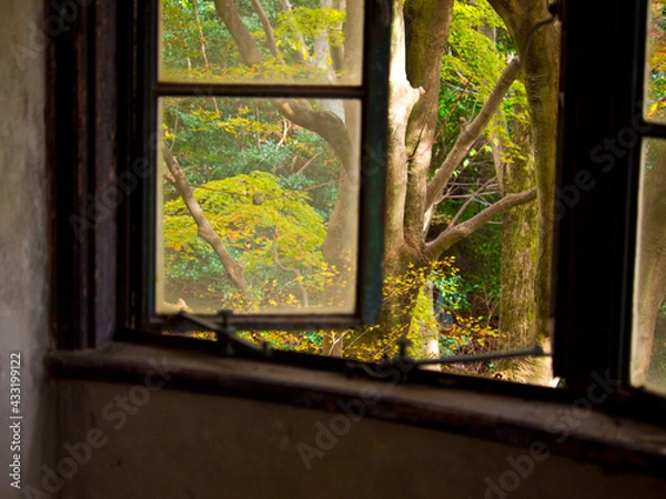 Obraz OLYMPUS DIGITAL CAMERA