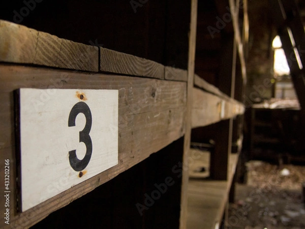 Obraz OLYMPUS DIGITAL CAMERA