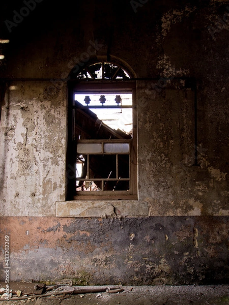 Obraz OLYMPUS DIGITAL CAMERA