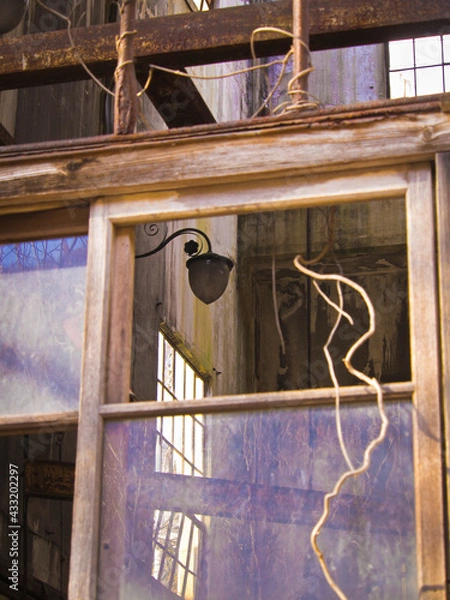 Obraz OLYMPUS DIGITAL CAMERA