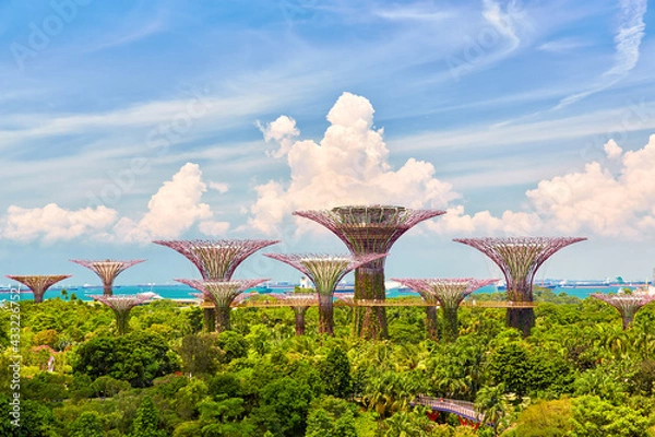 Obraz Singapore Supertrees Grove at the Gardens by the Bay