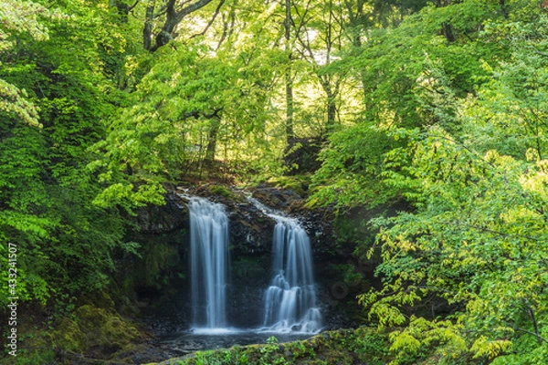 Fototapeta 新緑の富士吉田市鐘山の滝