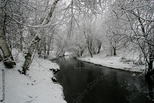 Obraz River in winter with snow-laden tree