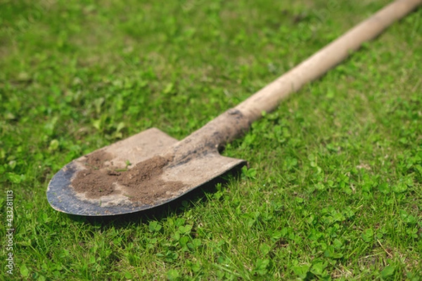 Obraz A side view of a dirty shovel lying on the grass, illuminated by the bright rays of the sun and casting a shadow.